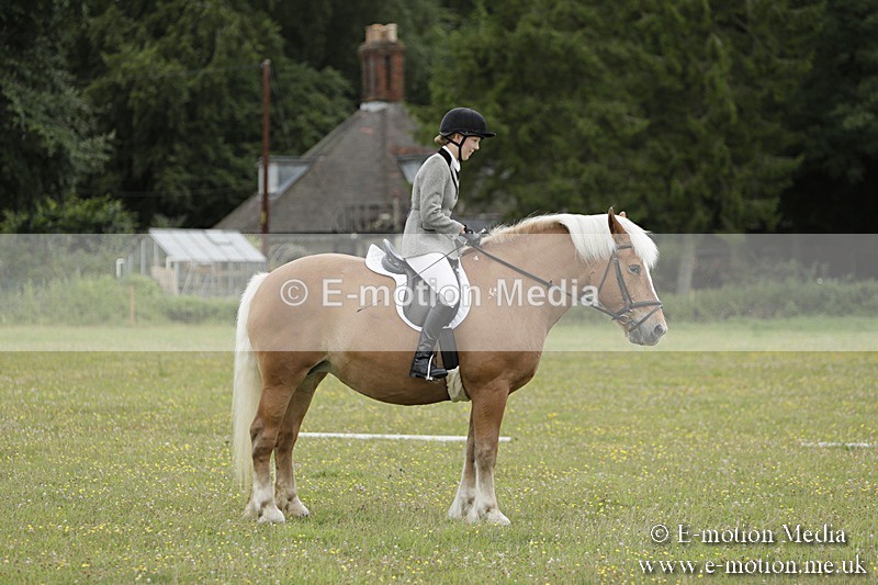 BVR160717-680 - Class 1 & 23a Dressage 16/07/17