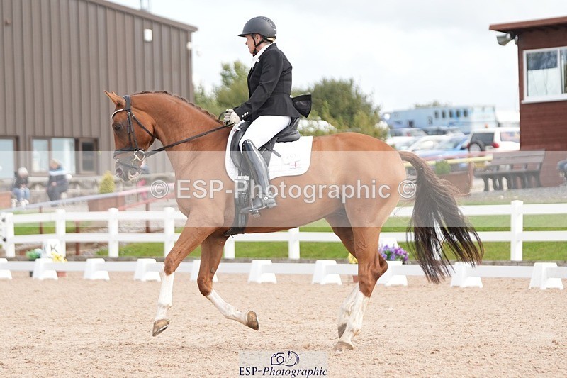 250906-112345-01614 - 007-Karen.DanceHevans.Sign.of.the.Times