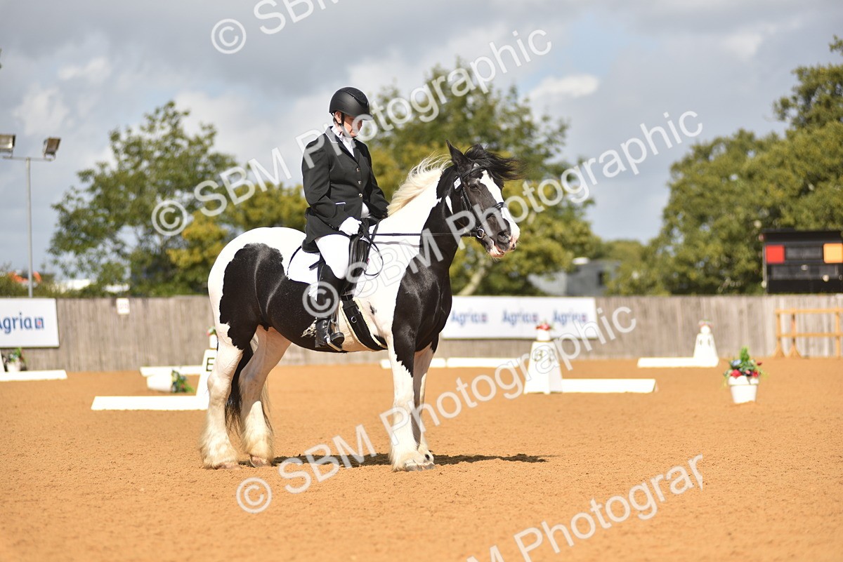 SBM_03391 - D4 - Small Tour Championship Intro 4