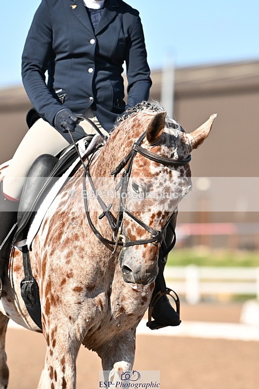 240816A-165802-06308 - 164-Emma.jane.Brown-JUBILEE.HARVEST