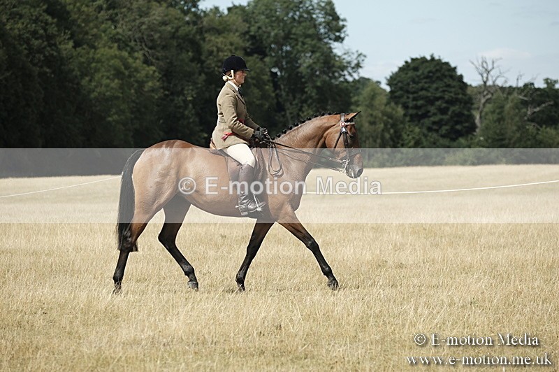 _PJP6106 - Ridden Championship BVRC Show 2018