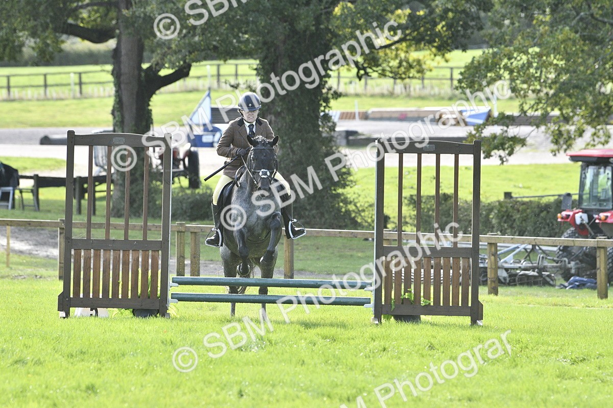 SBM_38152 - S31 - Novice & Newcomer Working Hunter Pony