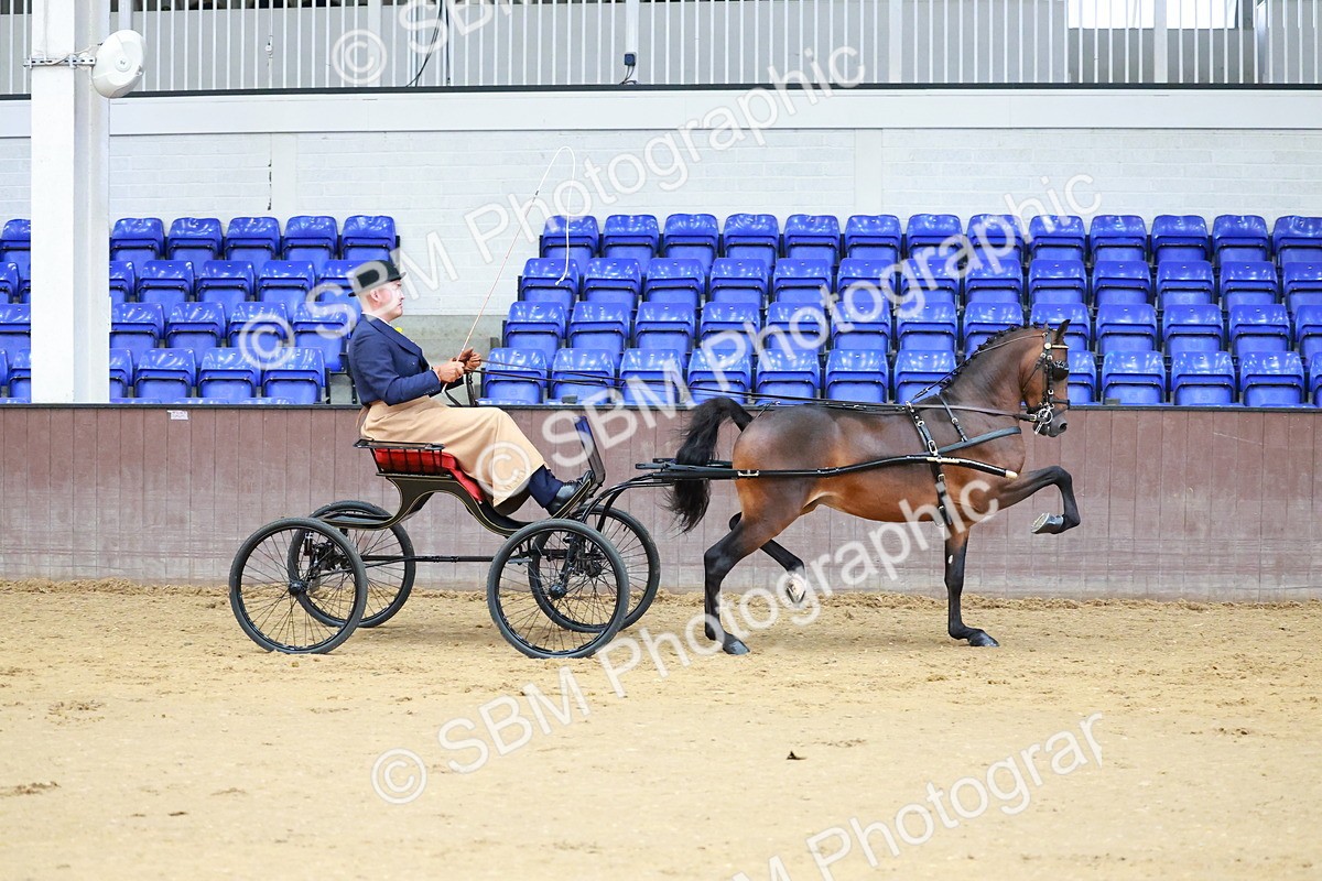 SBM_000617 - Class 9 - HHS Championship Intl Hackney Pony to a Showwagon