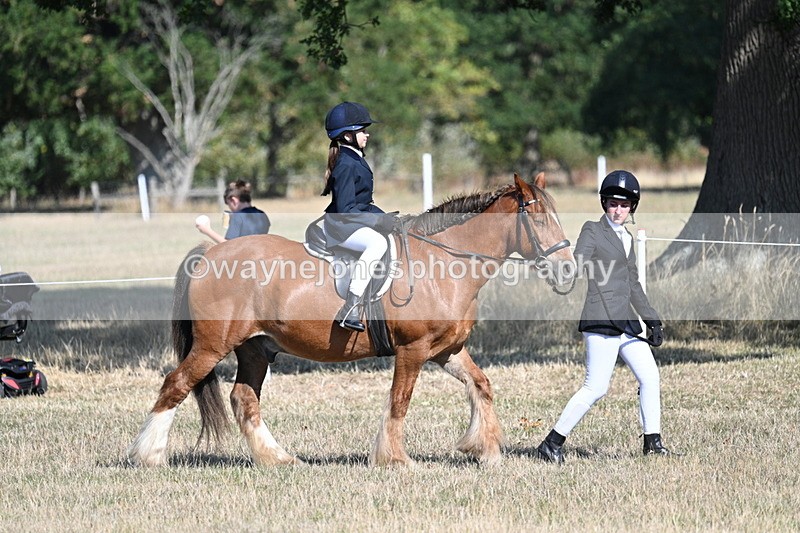 WJ7_3135 - Class 8 Ridden Tack & Turnout