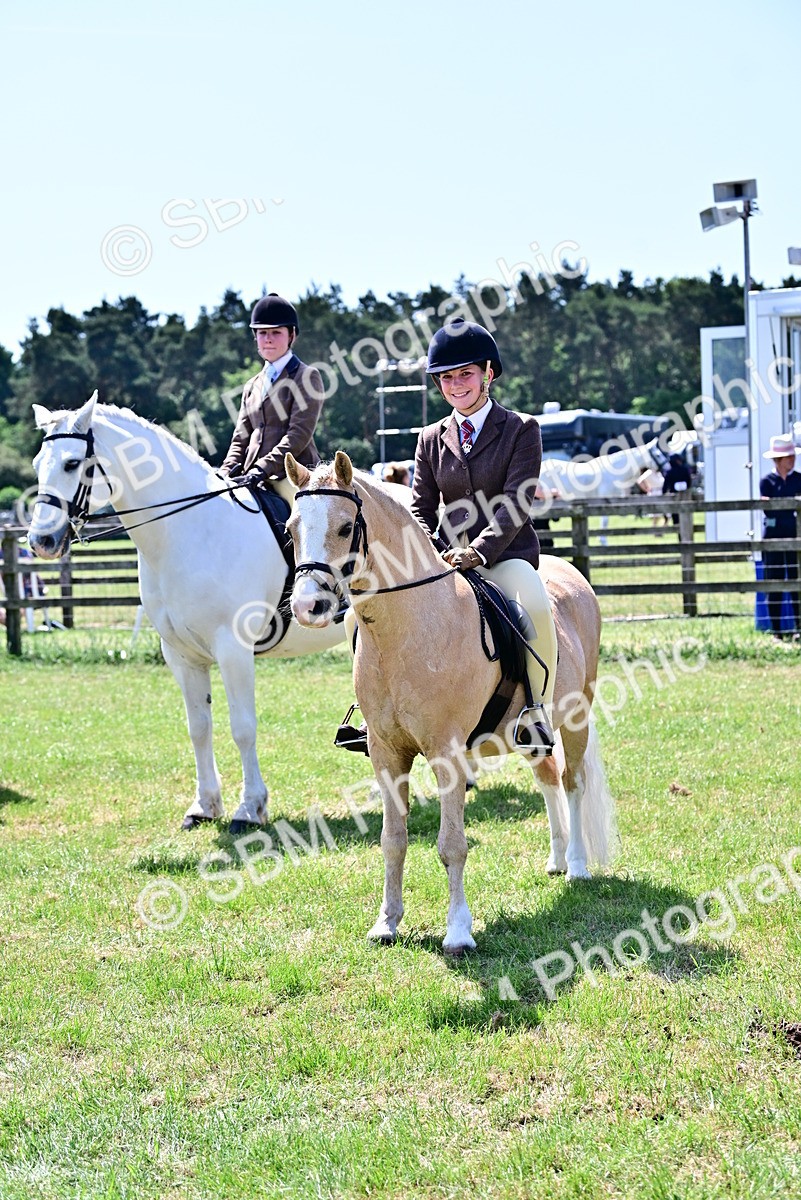 SBM_15424 - Class 95-97 - BSPS LHS Performance Ponies