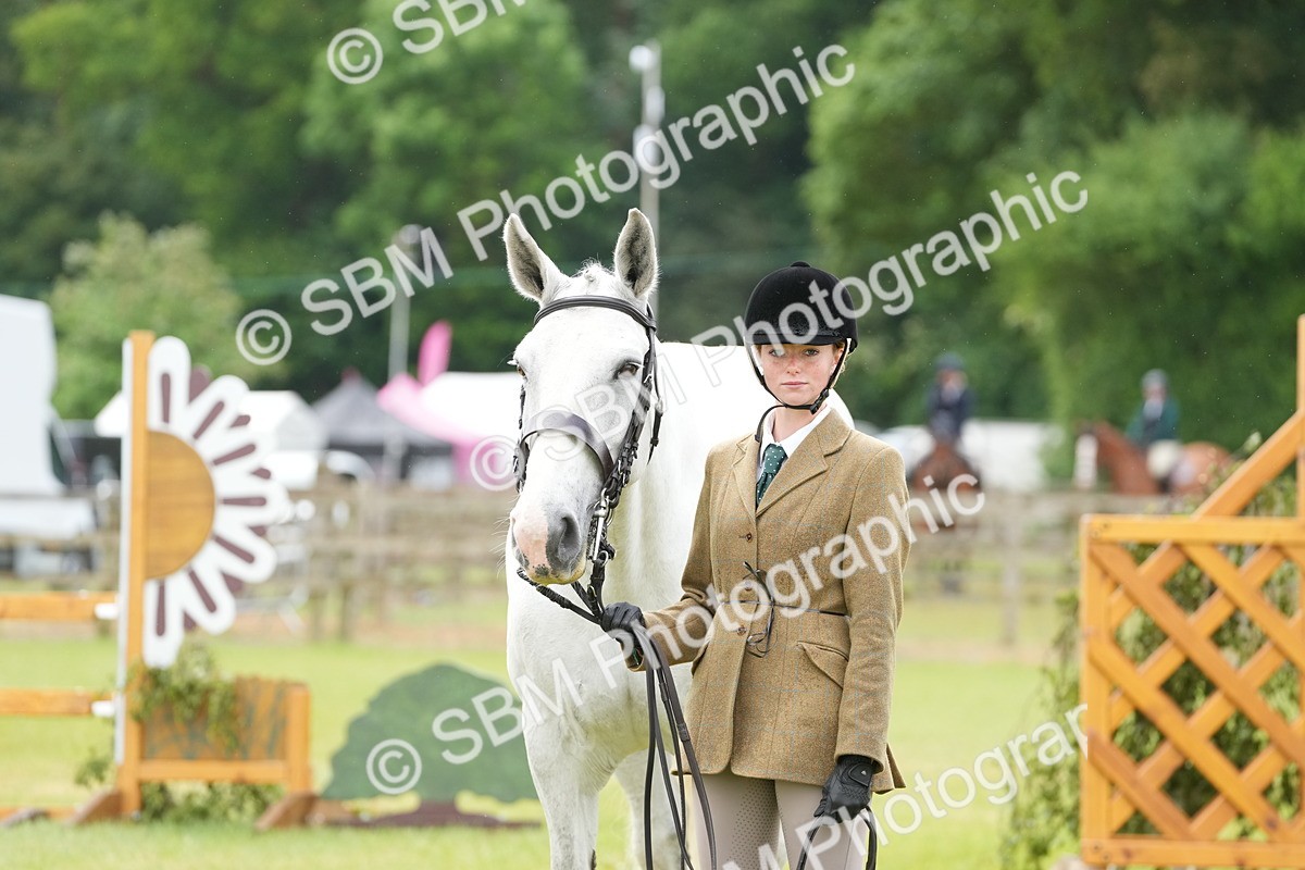 SBM_12743 - Class 97-98 - LIHS BSHA Rising Star Working Show Horse Hunter