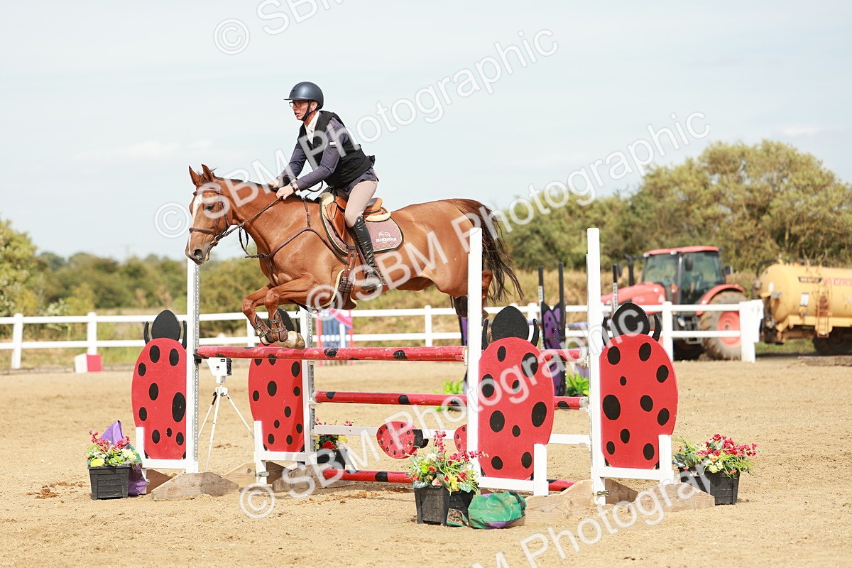 SBM_008232 - Class 4 - Senior Foxhunter - 1.20m Open
