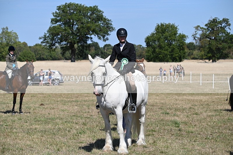 WJ6_8521 - Class 37a Best Loan Pony Ridden