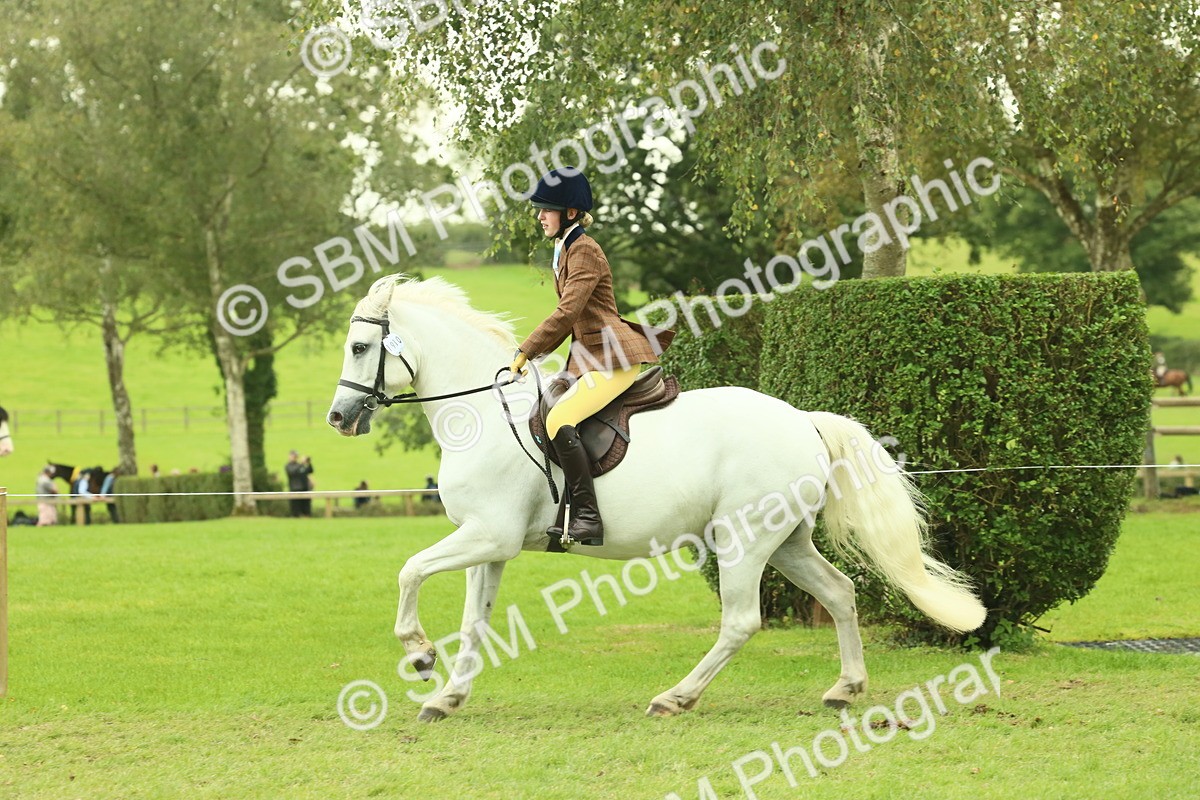 SBM_72175 - S60 - Mountain & Moorland Ridden Large Breeds