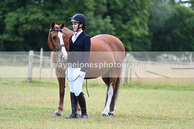 WJ7_6214 - Class 4a Prettiest Mare over 14hh