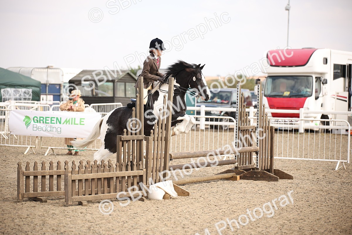 SBM_14981 - Class 408a - Working Veteran 70cm (15-19