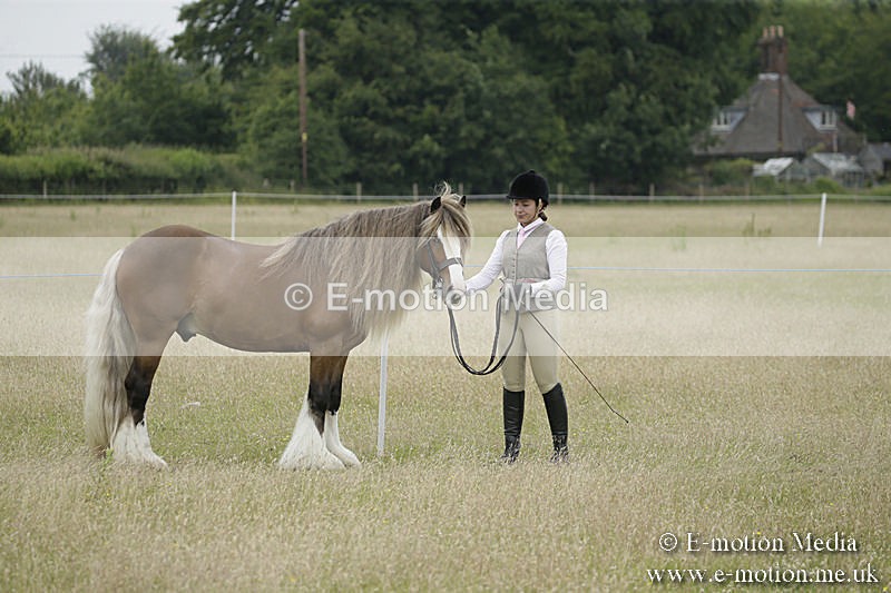 B230619-0727 - Bourne Valley Riding Club Summer Show 23/06/19