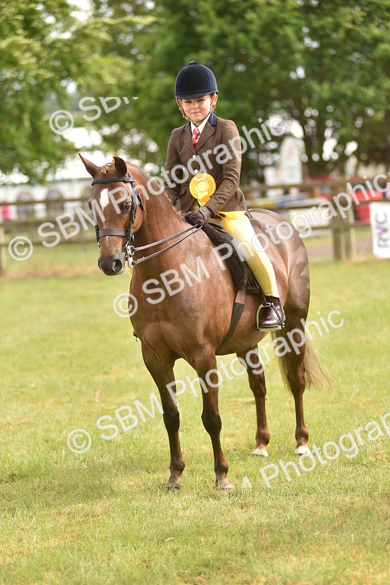 SBM_12071 - Class 110-112 - LIHS BSPS Performance Pones