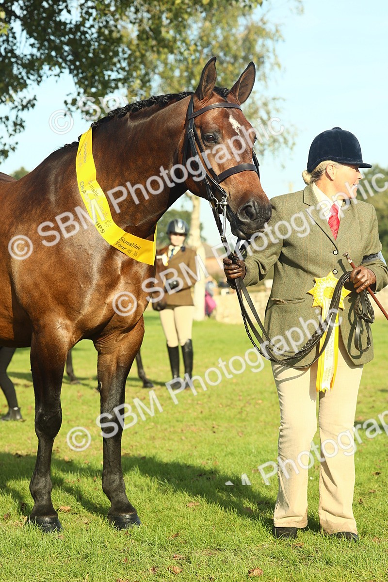 SBM_58641 - S37 - Starters In Hand Showing