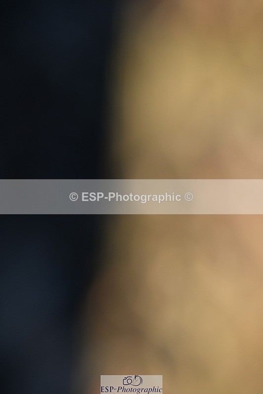 240107A-113654-01385 - UnAff Prelim 7