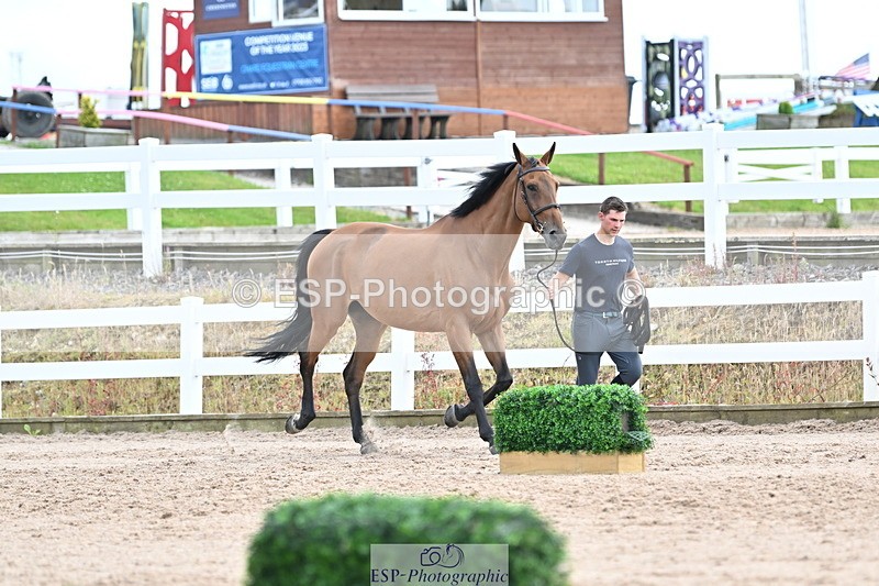 240717A-143620-02138 - Trot Up 2pm to 3pm - This folder is not in time order