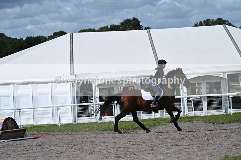 WJ7_1972 - Time 13:17 to 13:53