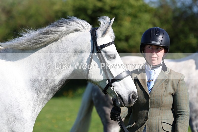 3E7A8667 - Class 13: M & M Large Breeds