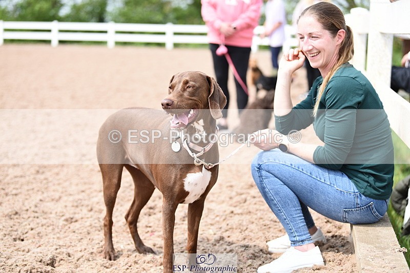 240518A-115144-00843 - Cls 2 Prettist Bitch