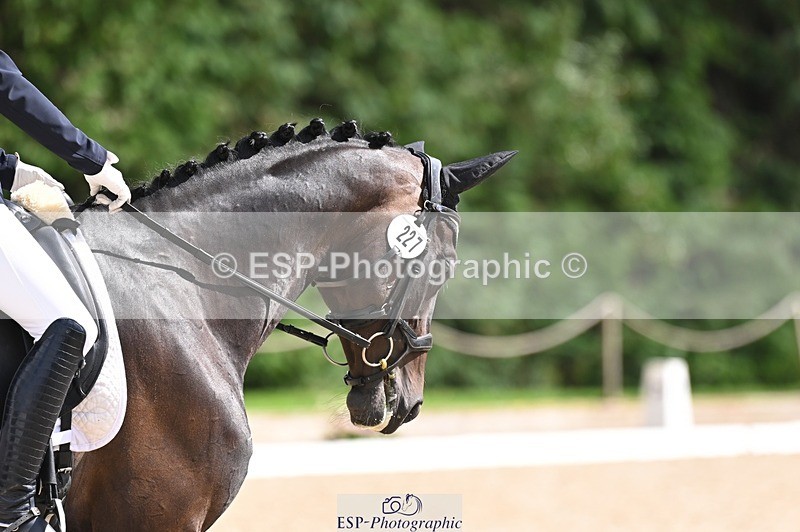 240809-153546-02117 - 227-Dominique.Mills-Sermaggio