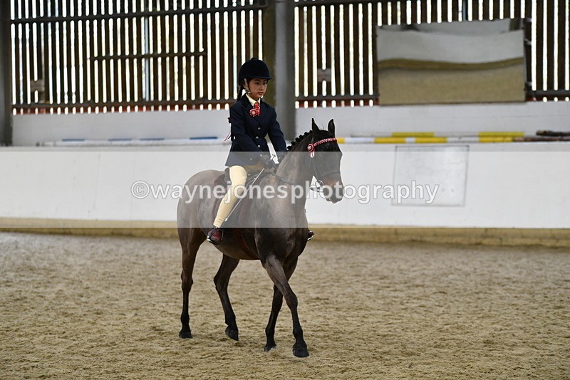 WJ5_6952 - Class 10 Childs Pony