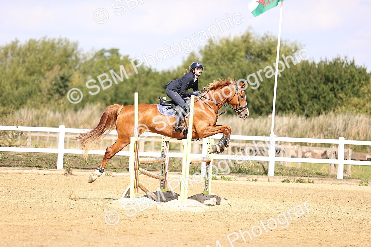 SBM_005838 - Class 9 - Senior British Novice - 90cm