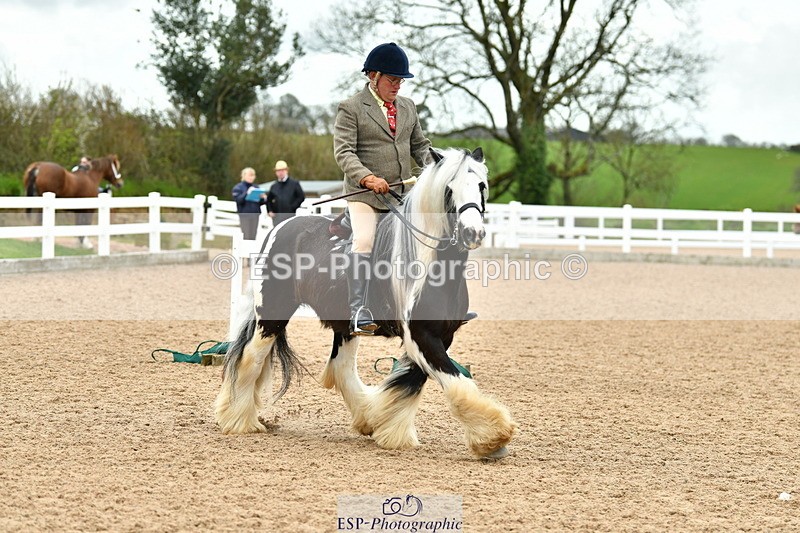 230416A-115531-04232 - Cls 72+73+69 Welsh, Trad Cob and Foreign