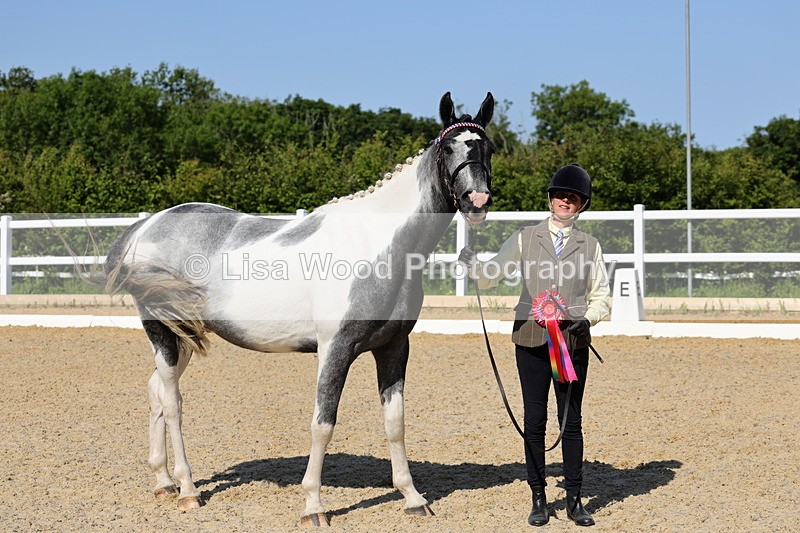 1X9A0812 - Class 4: Youngstock 1, 2, 3 year old to exceed 153cm