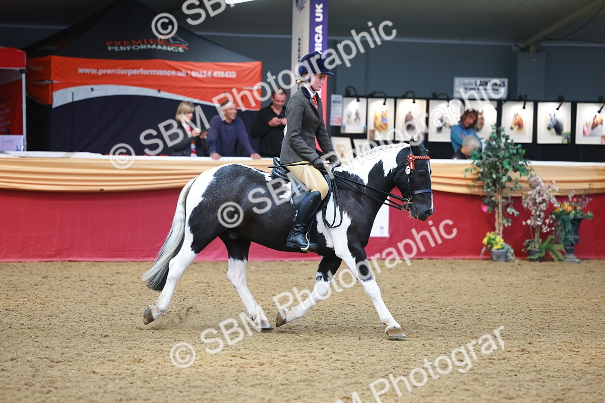 SBM_10682 - Class 103 - HOYS Veteran Qualifier - Ridden Pre Vet