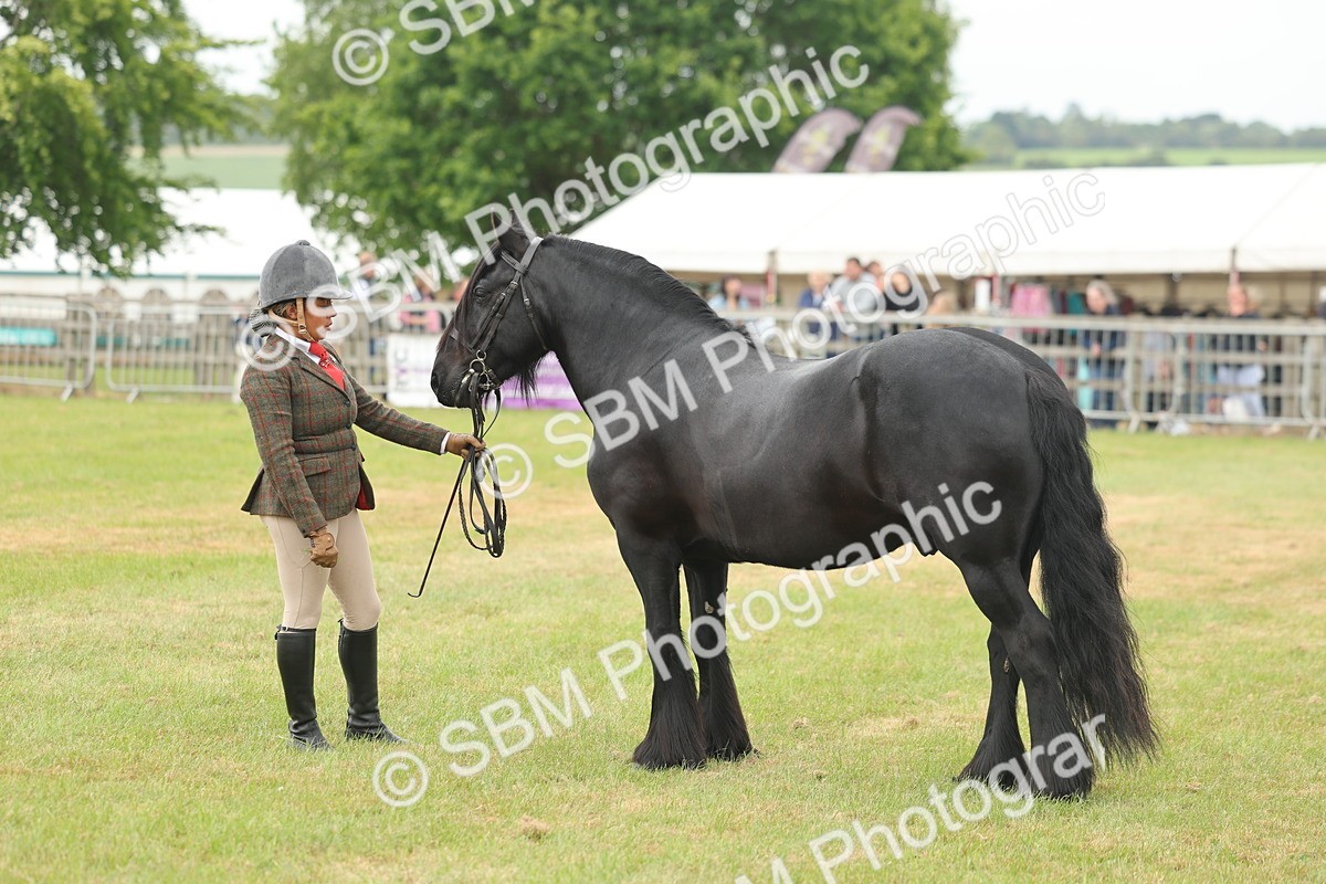 SBM_08991 - Class 78-80 - Ridden M&M Non Welsh Ponies