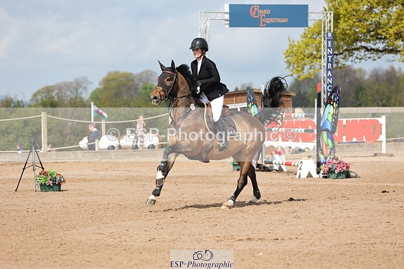 250427-111218-15855 - Cls 36 Young Horse 7yr old