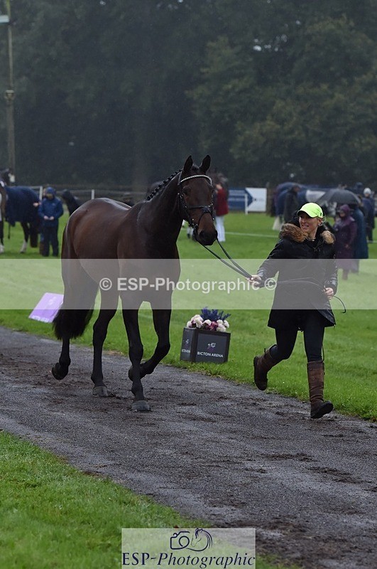 231018-120942-00106 - 012-ROMANY.CRICKET-Nana.Dalton-TrotUp