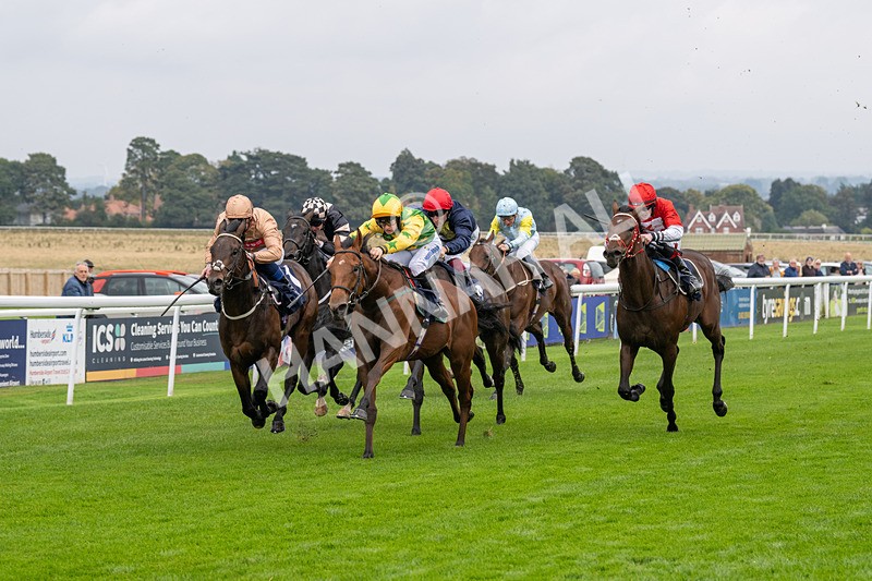 240924-Race 2-The Trickster-5924 - Race 2