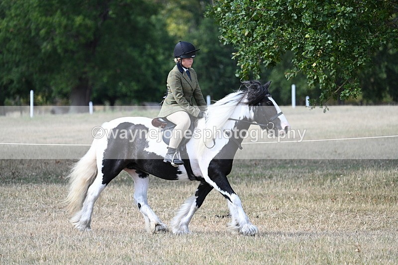 WJ7_7087 - Class 14 Ridden Coloured