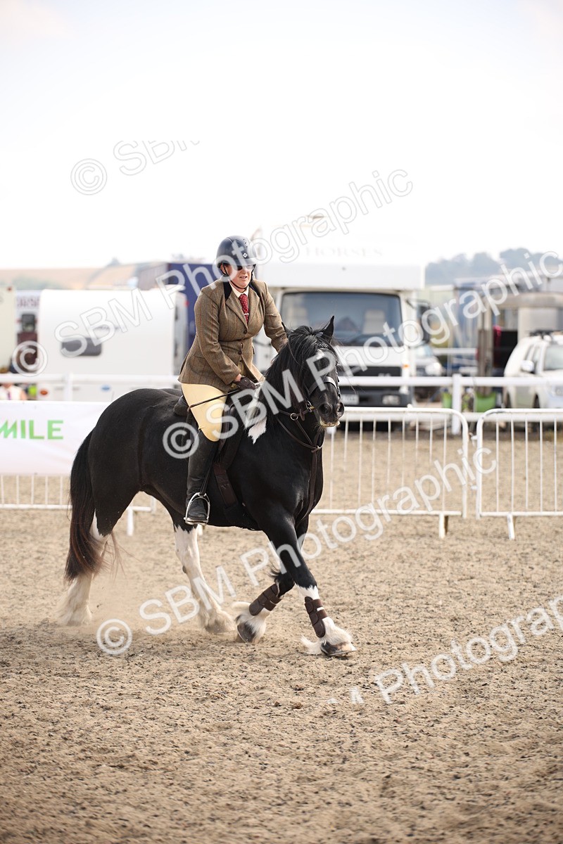 SBM_14226 - Class 407a - Working Veteran 60cm (15-19