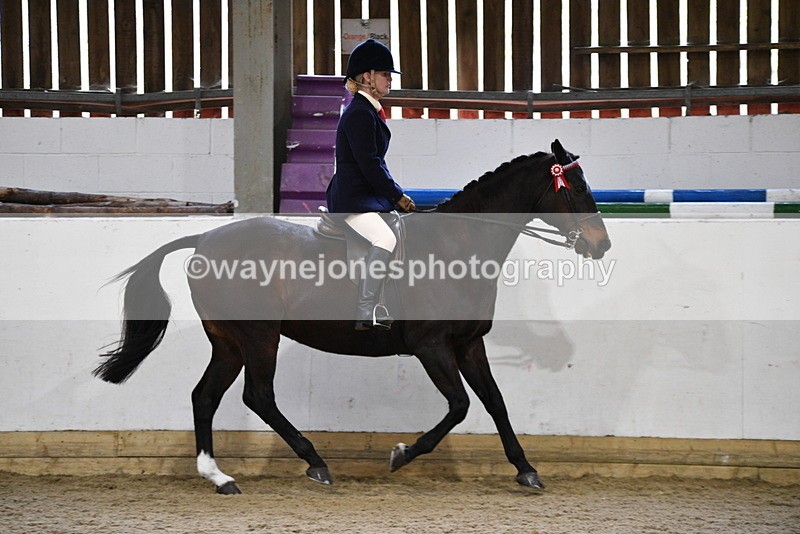 WJ5_7868 - Class 13 Ridden Part Breed