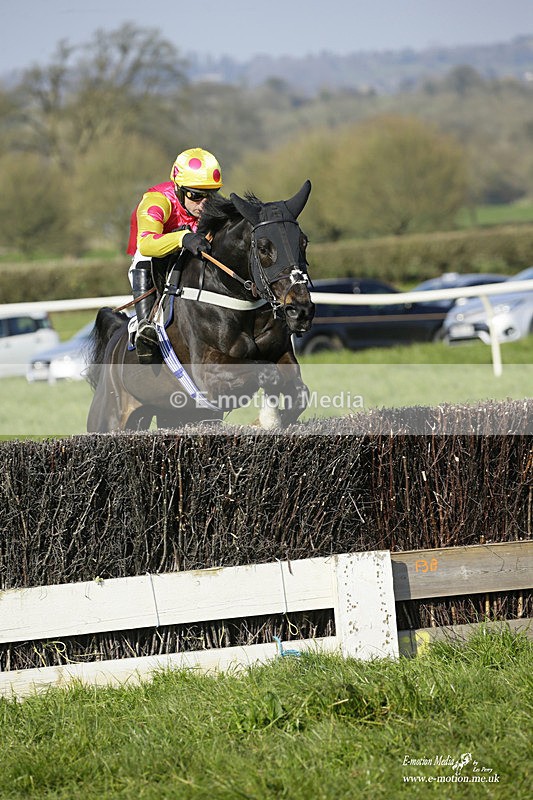 PtP 200322 383 - Mendip Farmers Point-to-Point 20/03/22