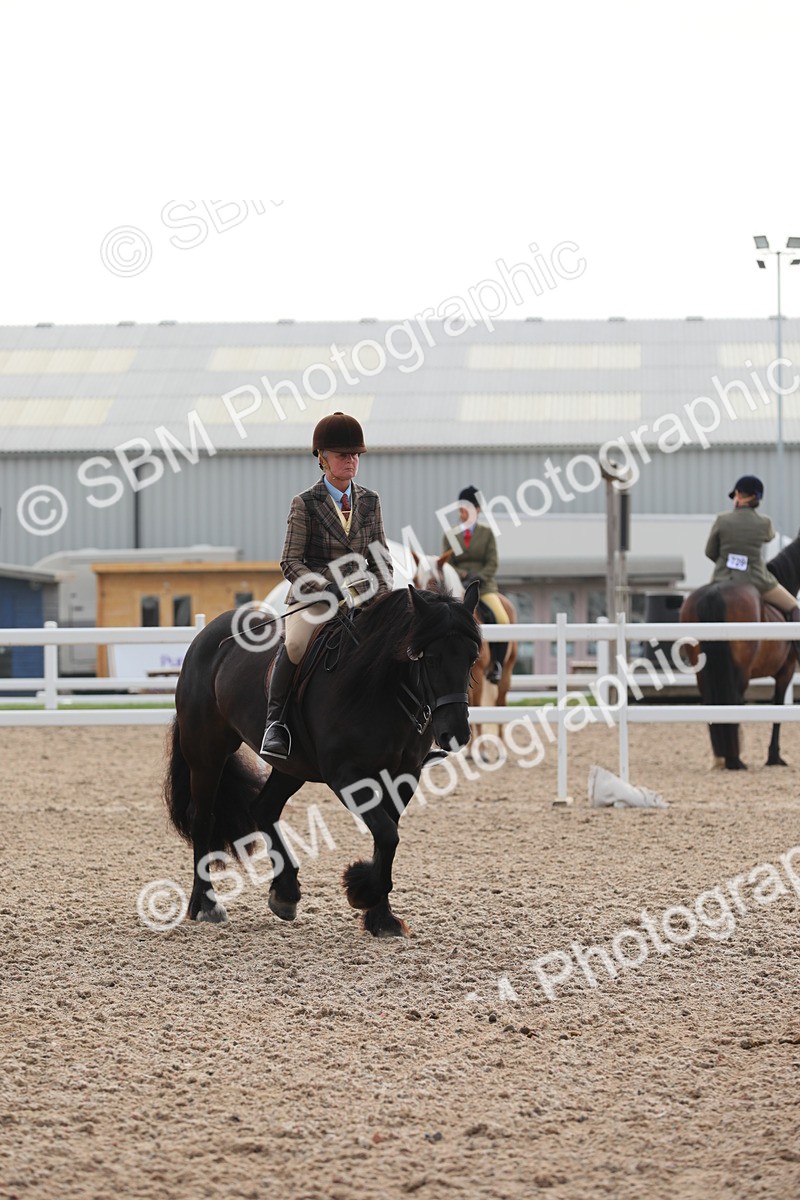 SBM_10053 - Class 302 Ridden M&M -Large Breeds