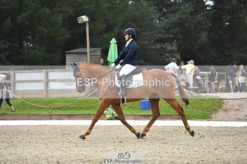 230812-122641-04118 - Cls 6 Novice Silver 12.10 to End