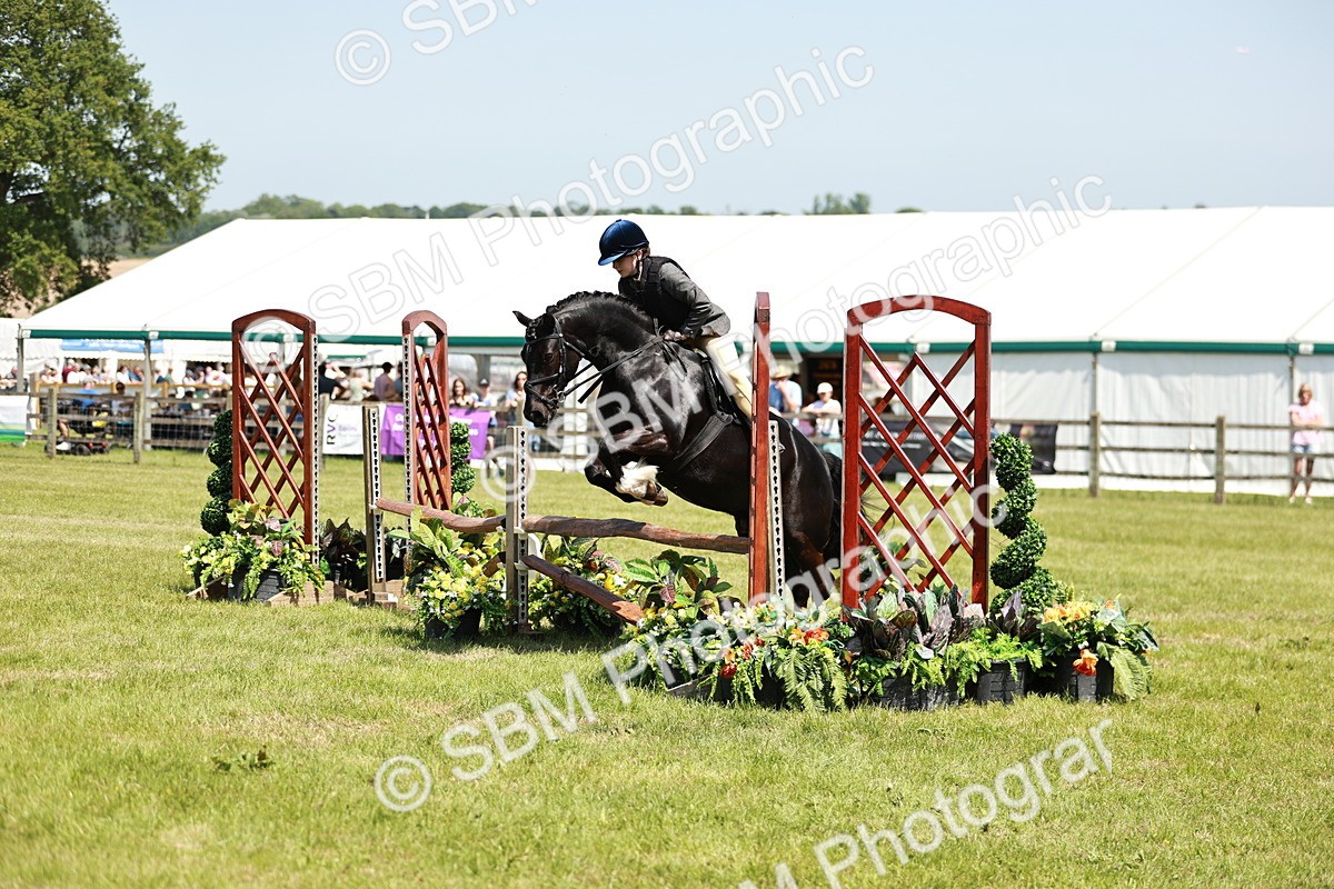 SBM_15552 - Class 108-109 - BSPS LIHS Open Gradle & Nursery Stakes