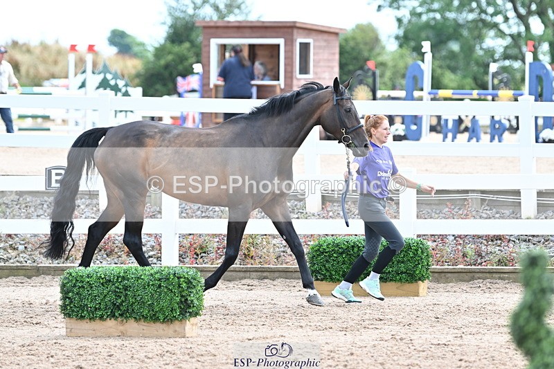 240717A-144033-02186 - Trot Up 2pm to 3pm - This folder is not in time order