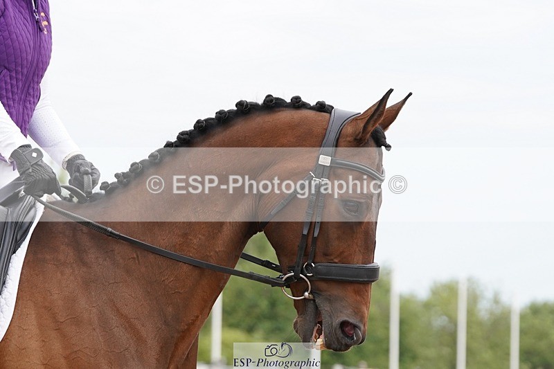 250621-092940-05527 - Quest Cls 1-5, Intro All