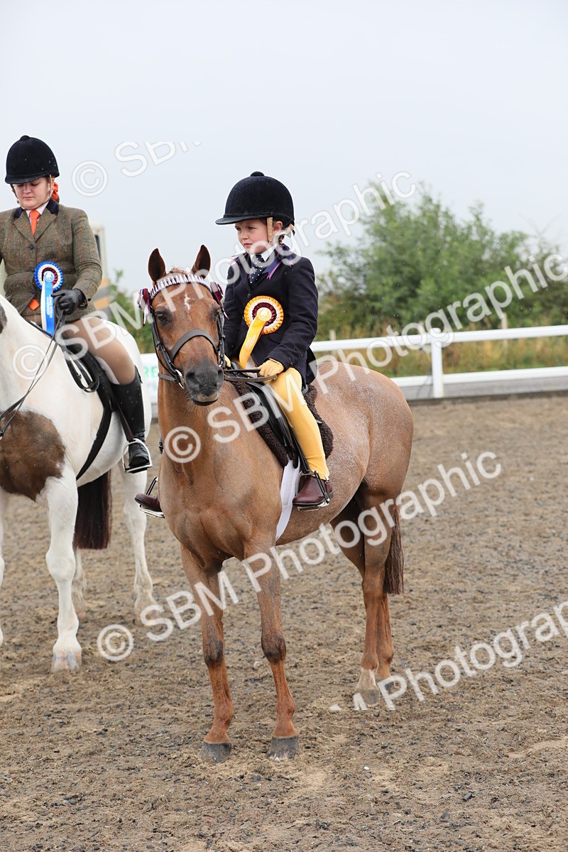 SBM_20646 - Class 804 - Ridden Veteran Pony
