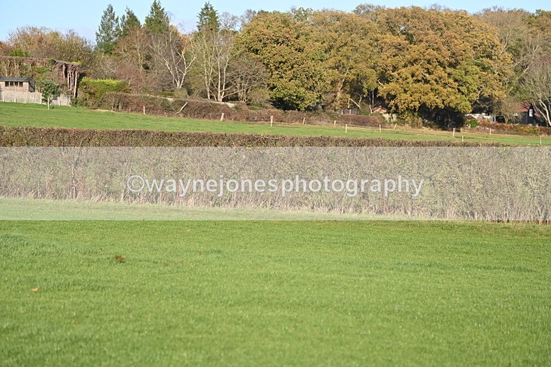 WJ6_3266 - Camera A