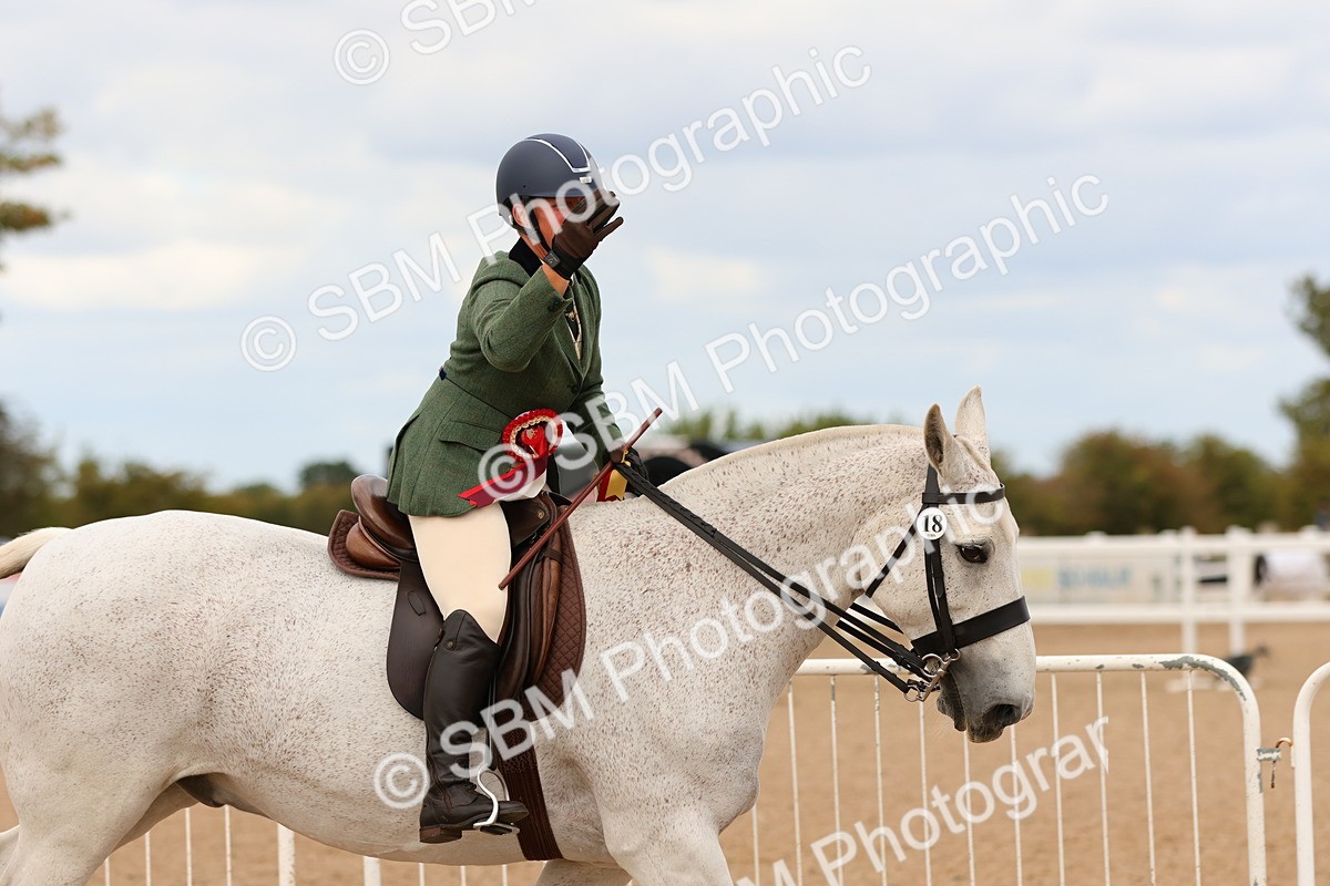 SBM_15620 - Class 214 - Ridden Show Cob