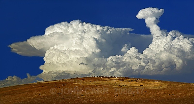 Dramatic Storm Clouds over a field of Sheep.