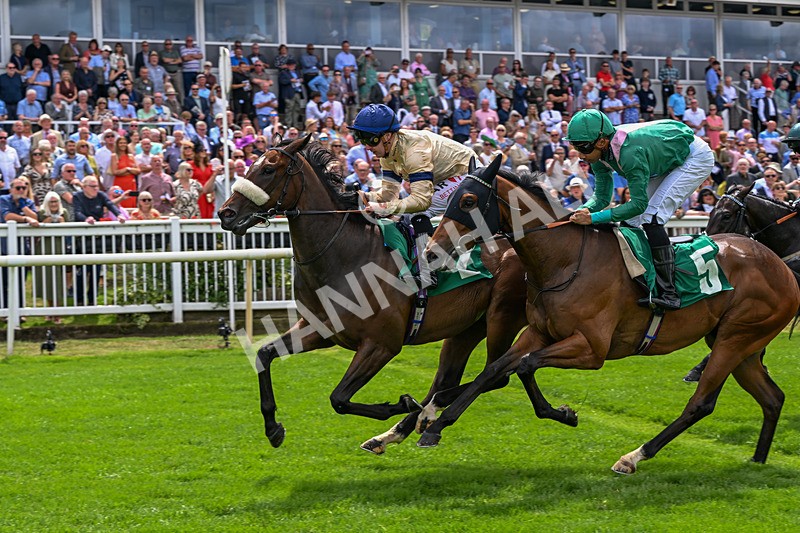 010726-Race 1-Kodiak Breeze-7657 - Race 1 13.08pm British EBF Restricted Novice Stakes (Div I)