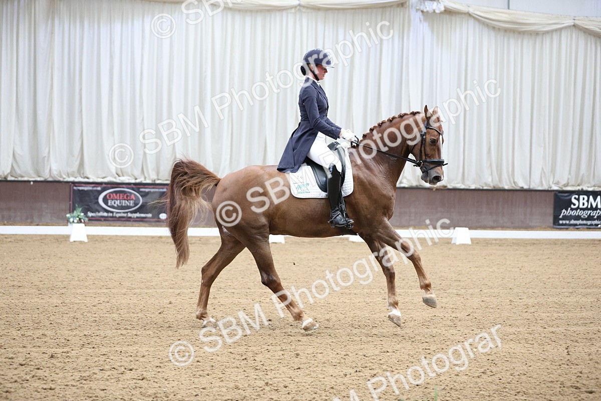 SBM_004370 - Class 9 - FEI Inter 1 Gold - 15.55-16.43