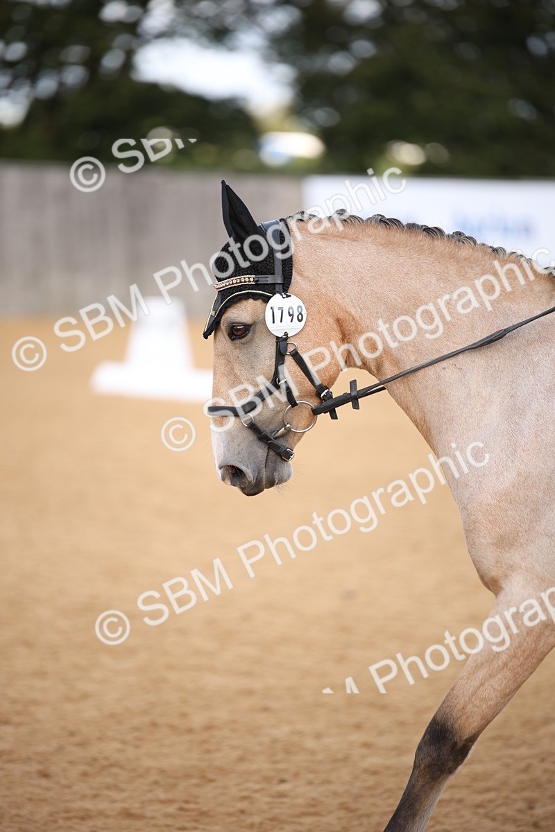 SBM_04237 - D2 Small Tour Championship Intro C