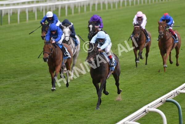 yr14052021r2-17 - Race 2 2.10pm Oak Farm Stables Fillies' Stakes (registered as the Michael Seely Memorial Stakes)